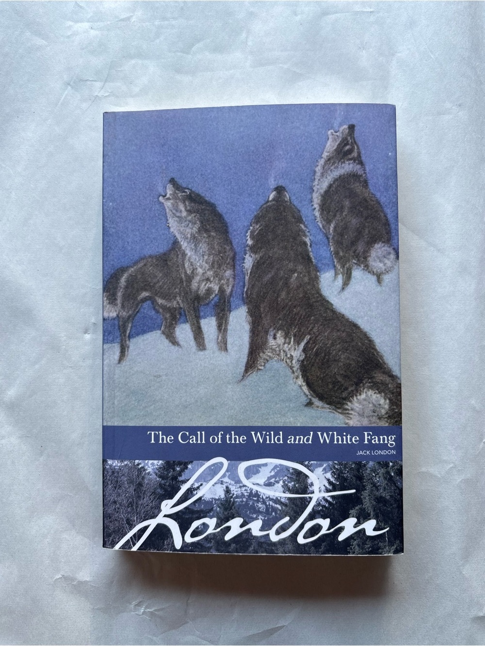 Jack London The Call of the Wild & White Fang Borders Classics Paperback